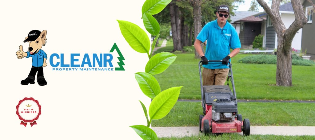 7 Services for the Best Lawn Care in Winnipeg 2024
