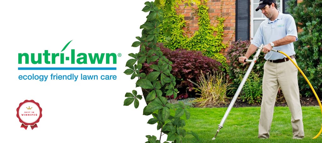 Rumored Buzz on Good Turf Landscaping Services Inc. - Landscaper In Winnipeg thumbnail
