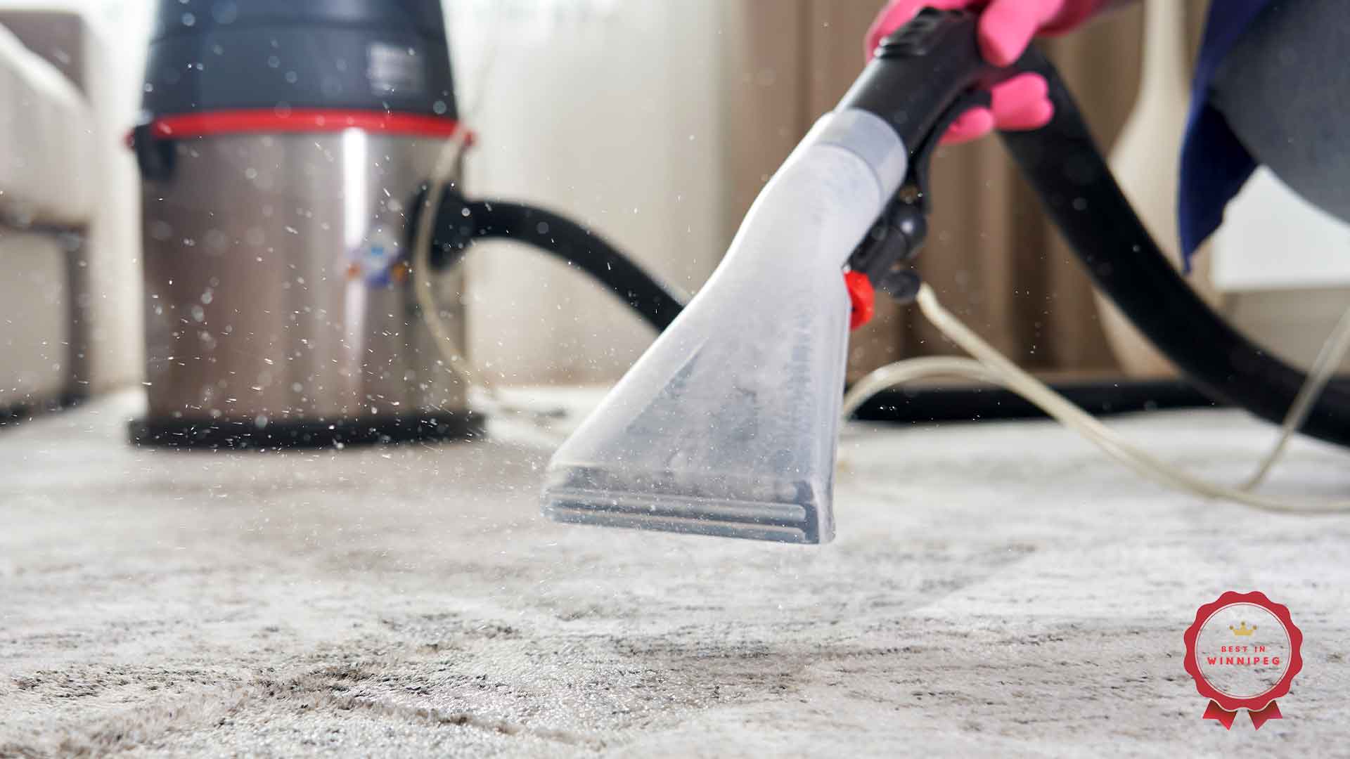 Best Carpet Cleaning Companies in Winnipeg