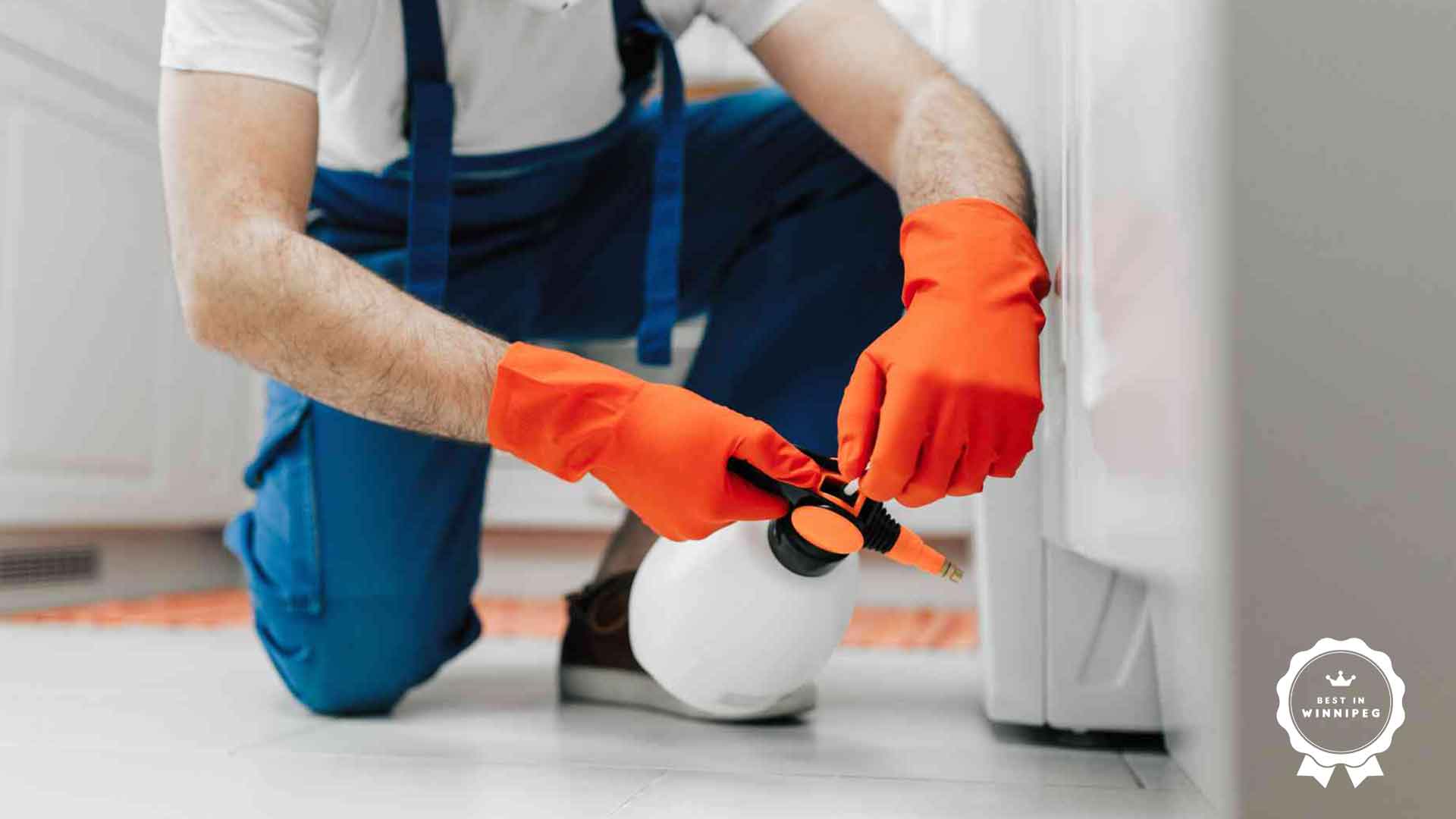 Best Bed Bugs Exterminators in Winnipeg