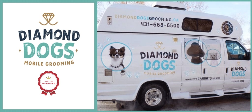 Diamond Dogs Mobile Grooming