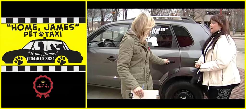 “Home, James” Pet Taxi