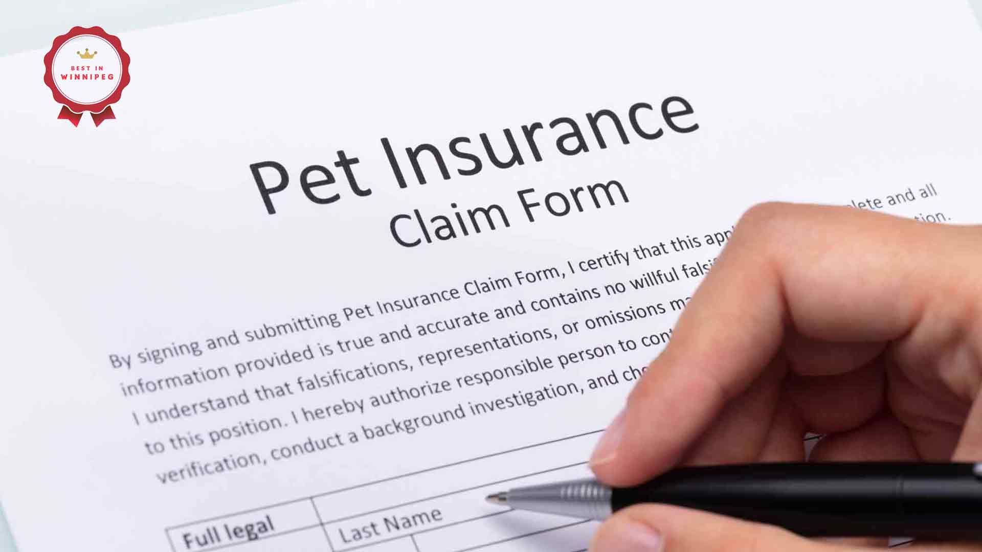 Best Pet Health Insurance Options in Winnipeg