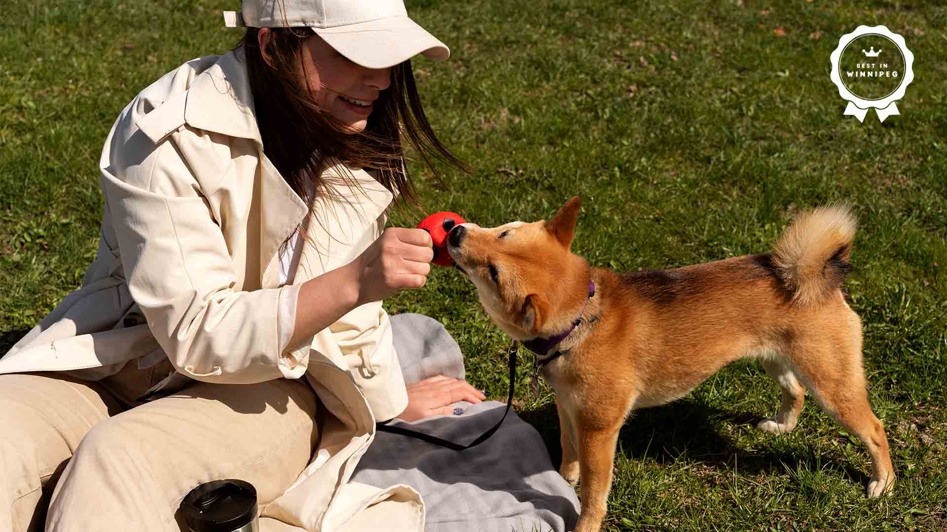 A Simple Guide to Responsible Pet Ownership
