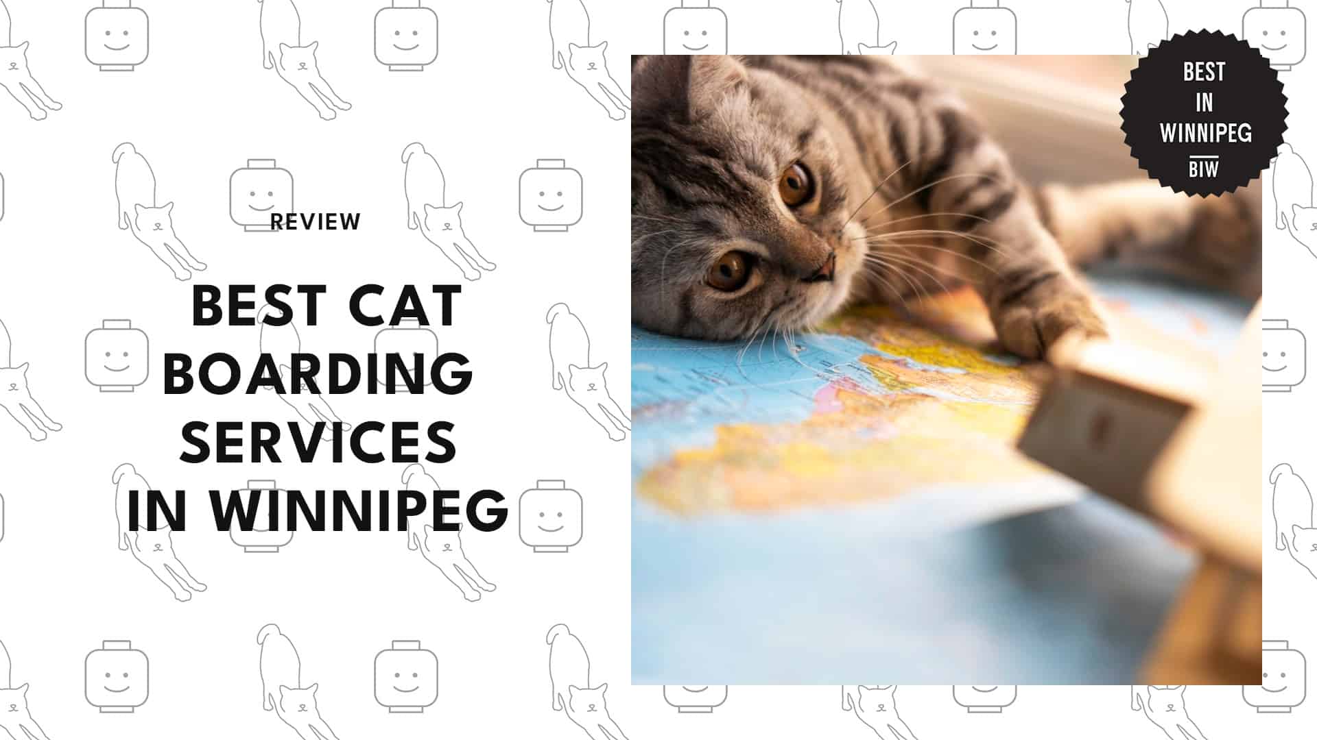 Best Cat Boarding Services