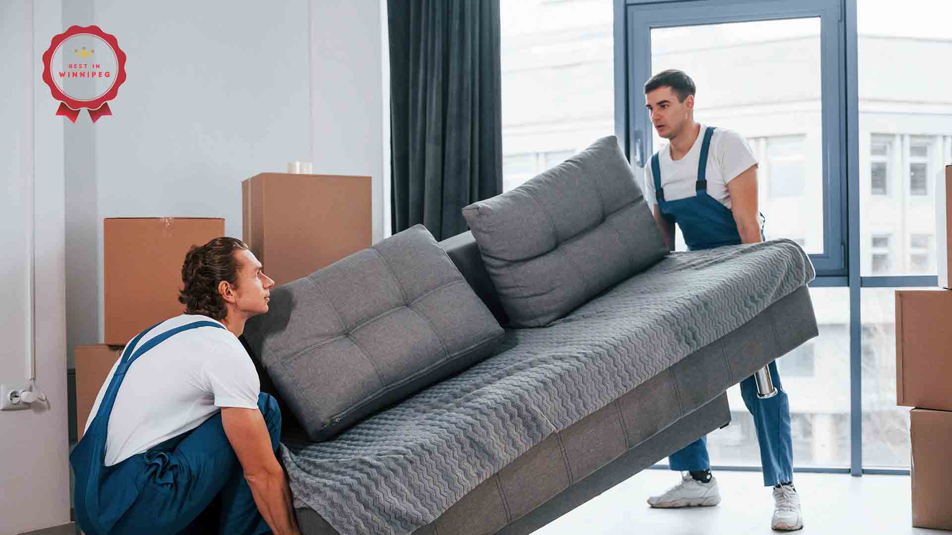 DIY Mover vs Pro Mover Which Is Better