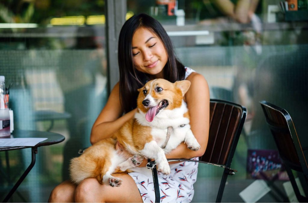 Dine with your family and pets