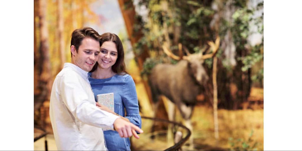 Go on a cultural trip together