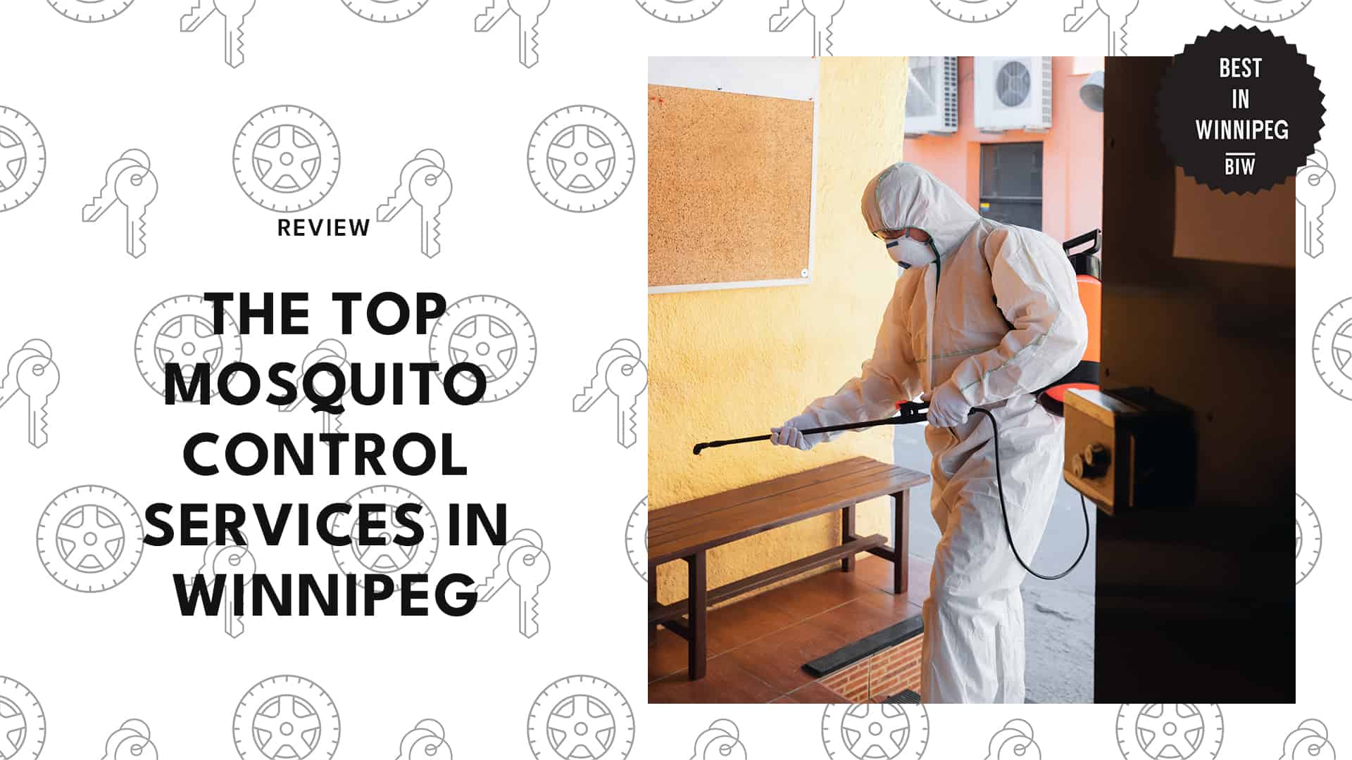 Top Mosquito Control Services
