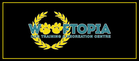 7 Best Kennel Services in Winnipeg [2026 ]