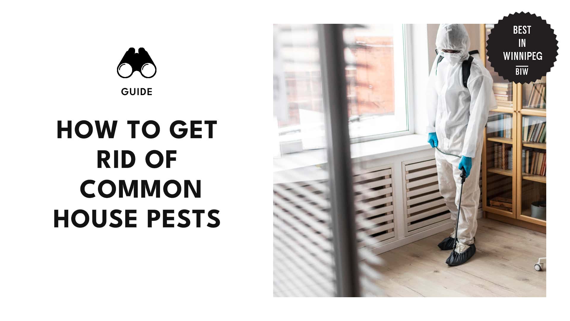 common-house-pests