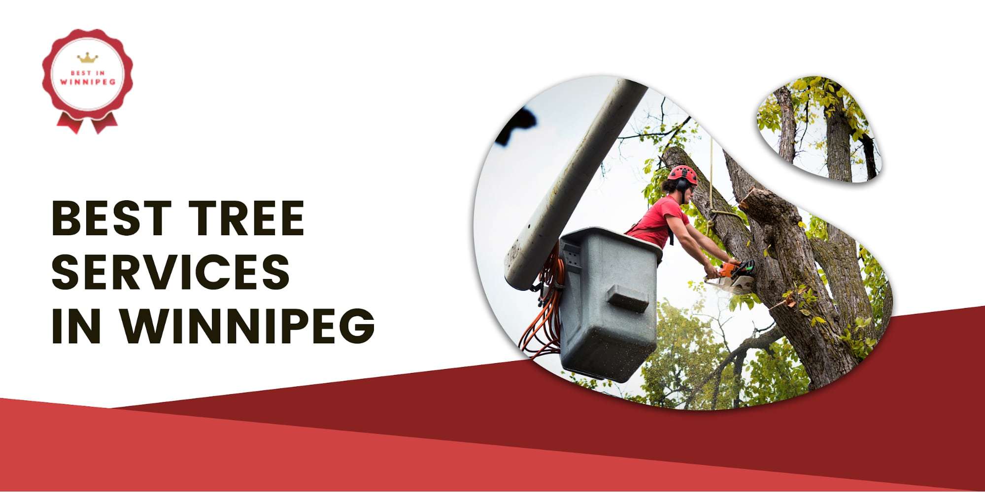 The 5 Best Tree Services in Winnipeg