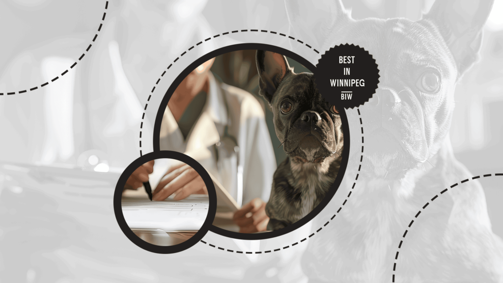 prioritize-pets-health