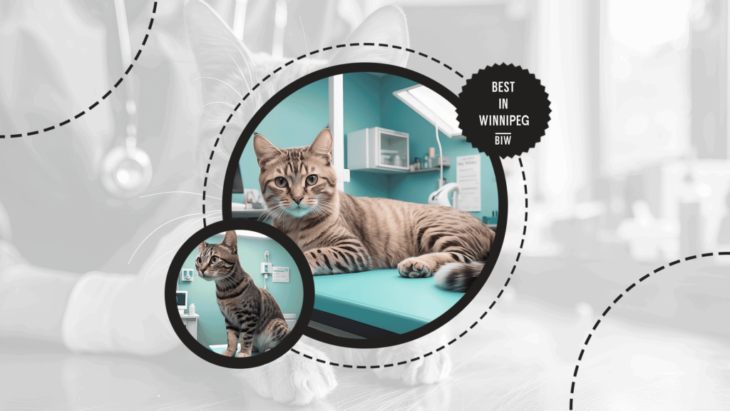 schedule-for-vet-visit