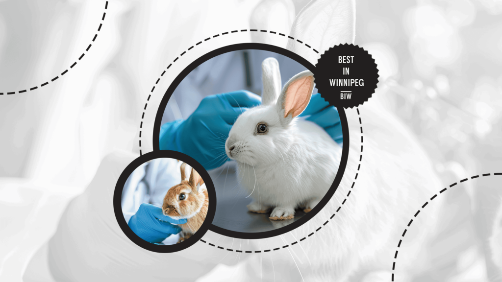 schedule-regular-vet-visits