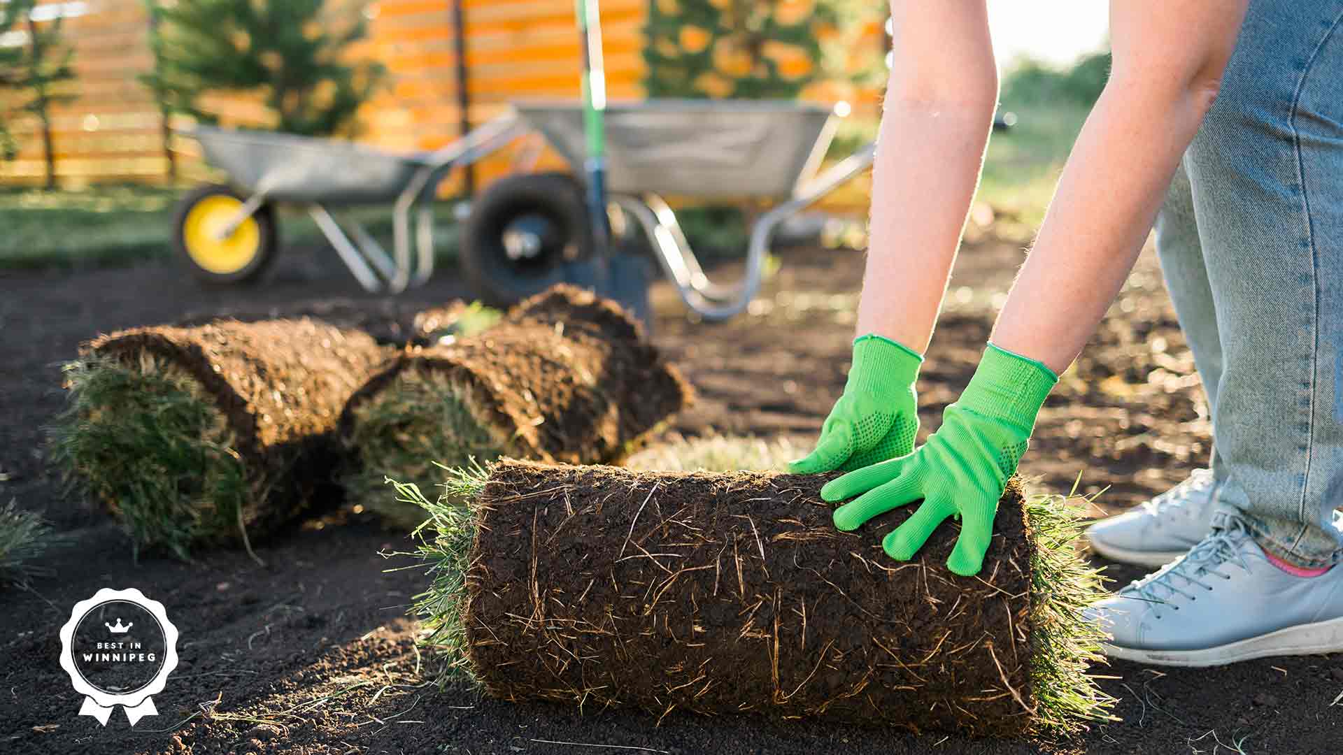 Best Artificial Grass Installers in Winnipeg