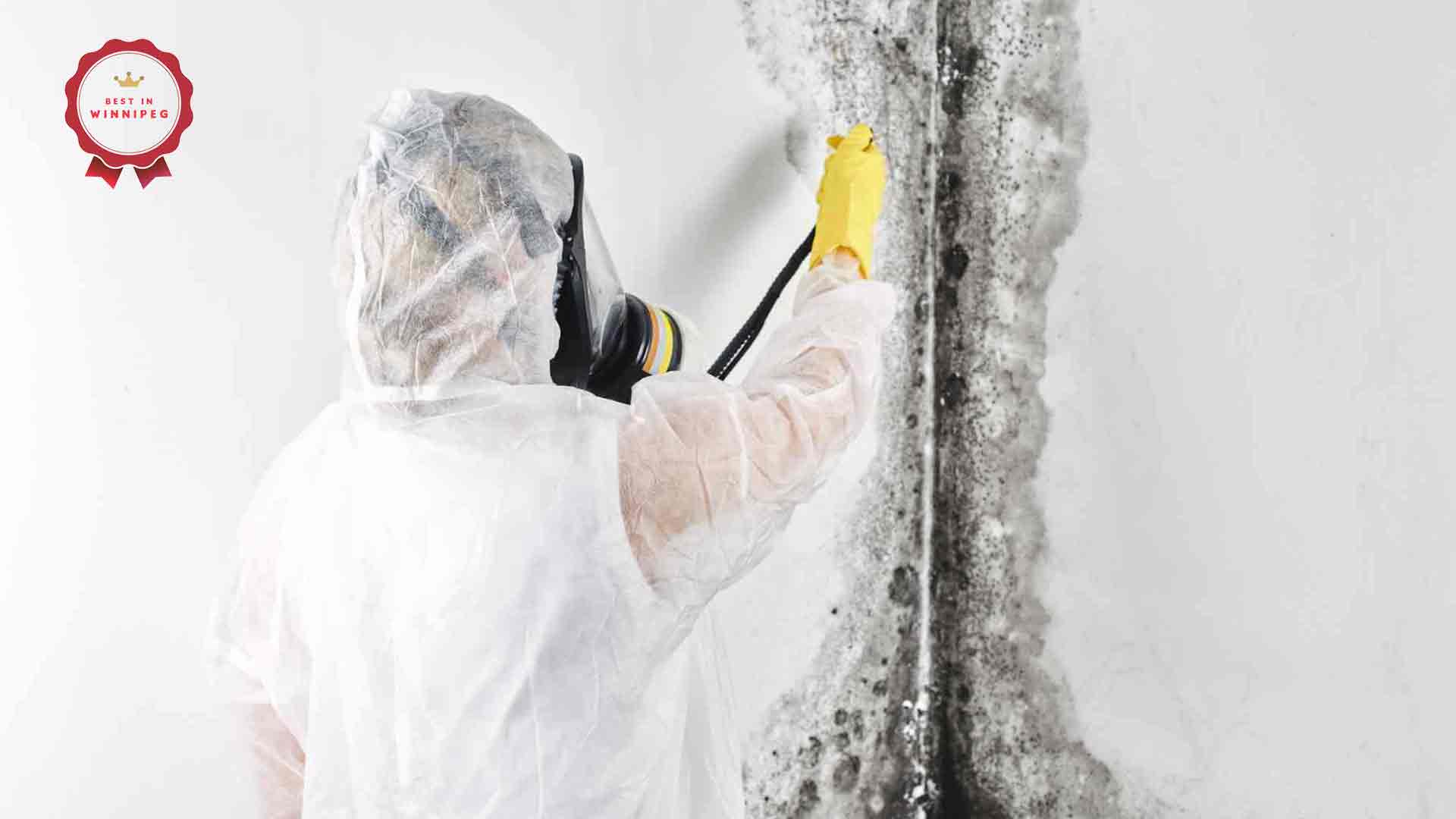 Best Mould Removal Services in Winnipeg