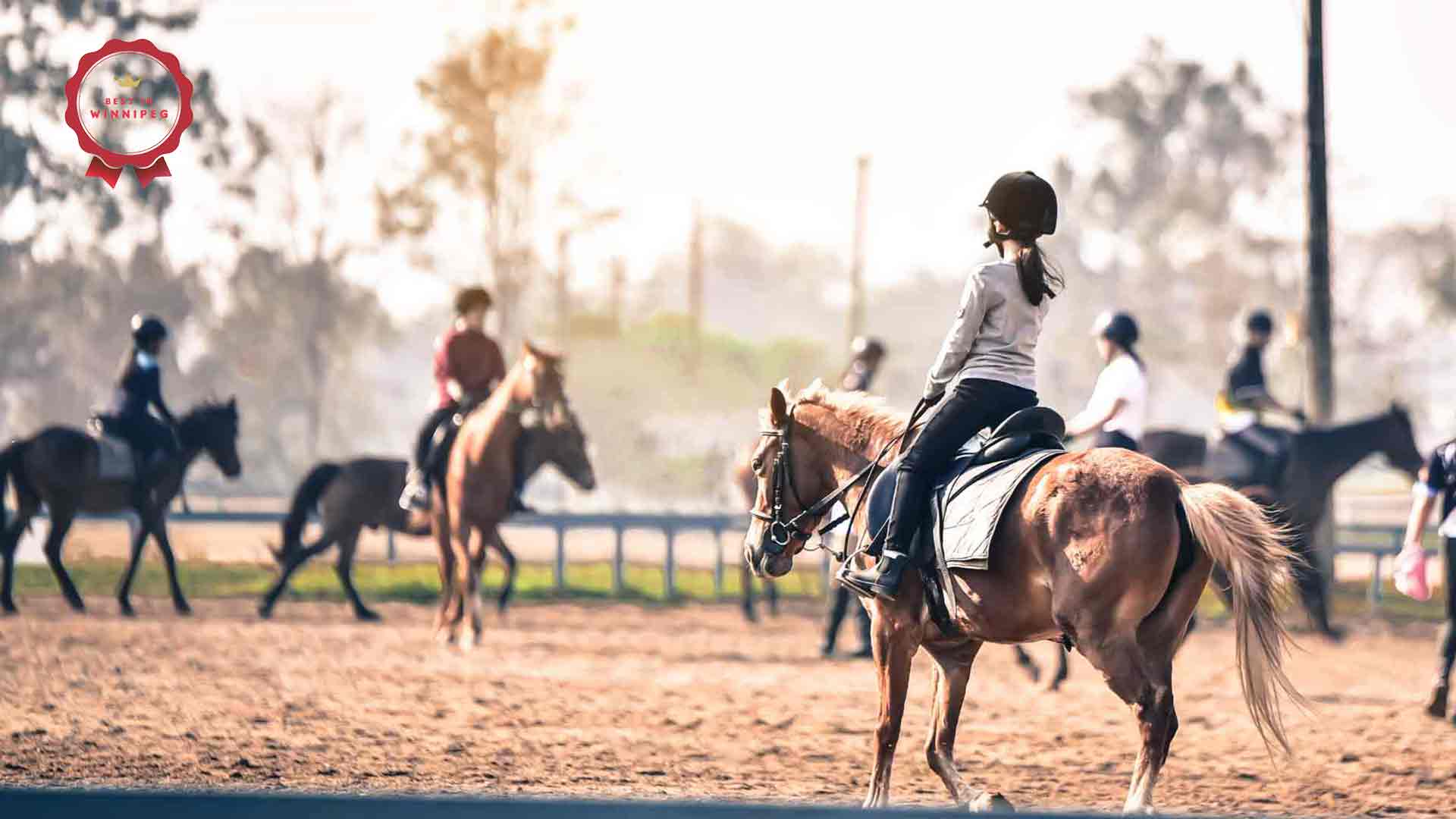Horseback Riding Facilities in Winnipeg