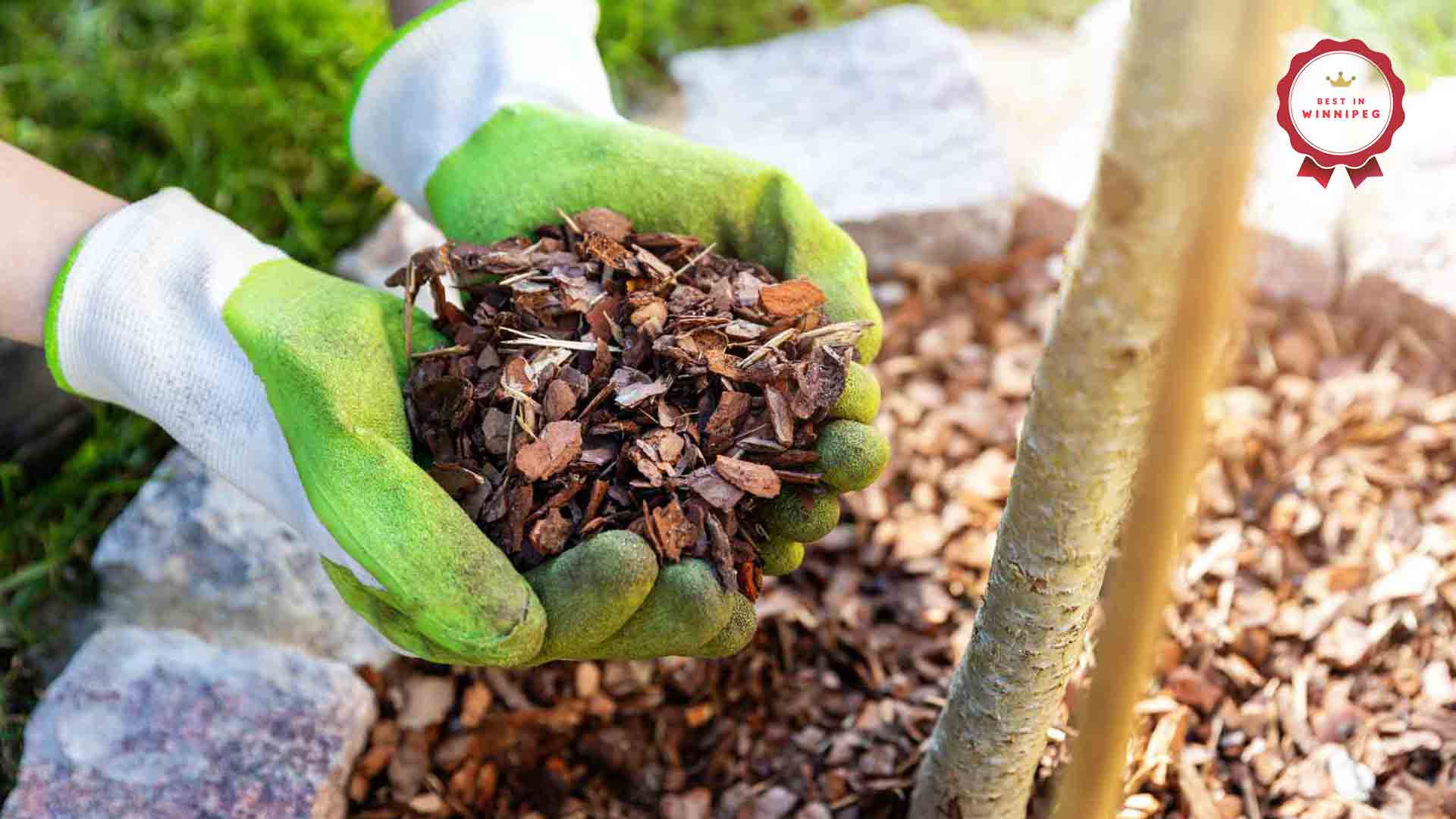 The Top 5 Shops to Buy Mulch from in Winnipeg