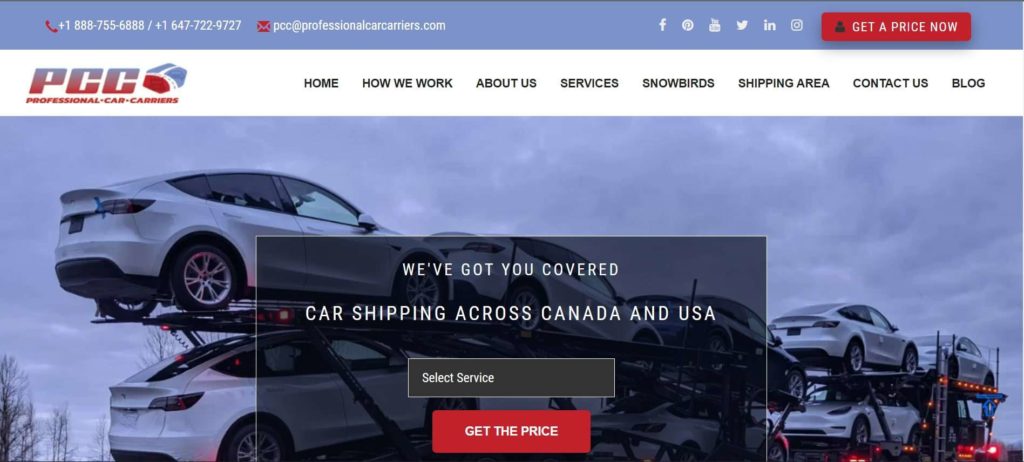 Professional Car Carriers (PCC)
