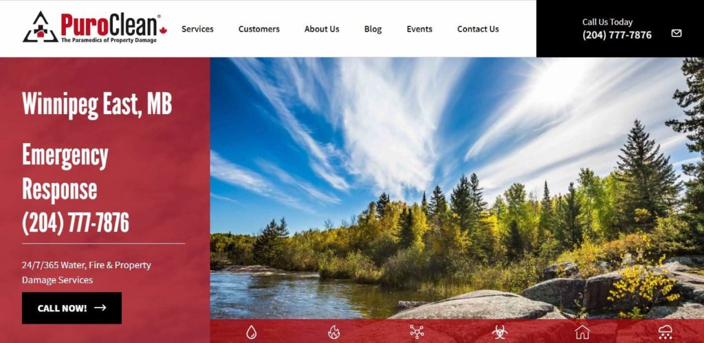 Puro Clean Homepage