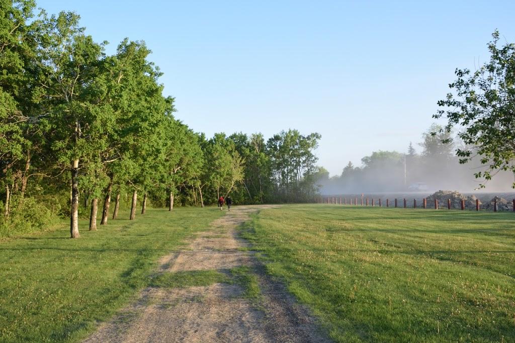 Little Mountain Park