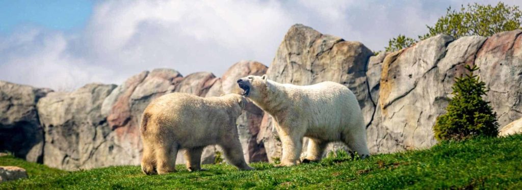 Winnipeg preserves exotic and arctic wildlife