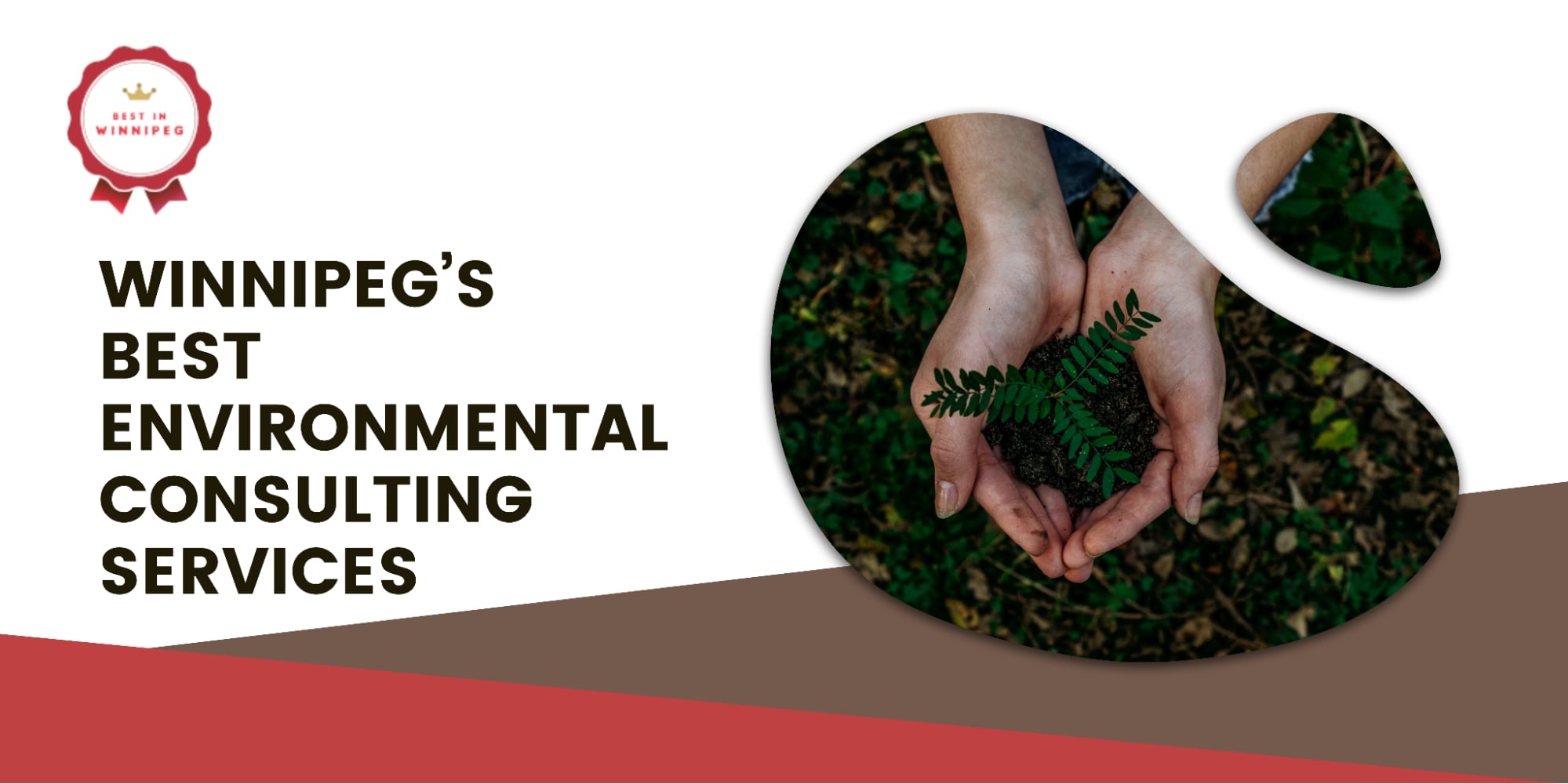 5 of Winnipeg’s Best Environmental Consulting Services