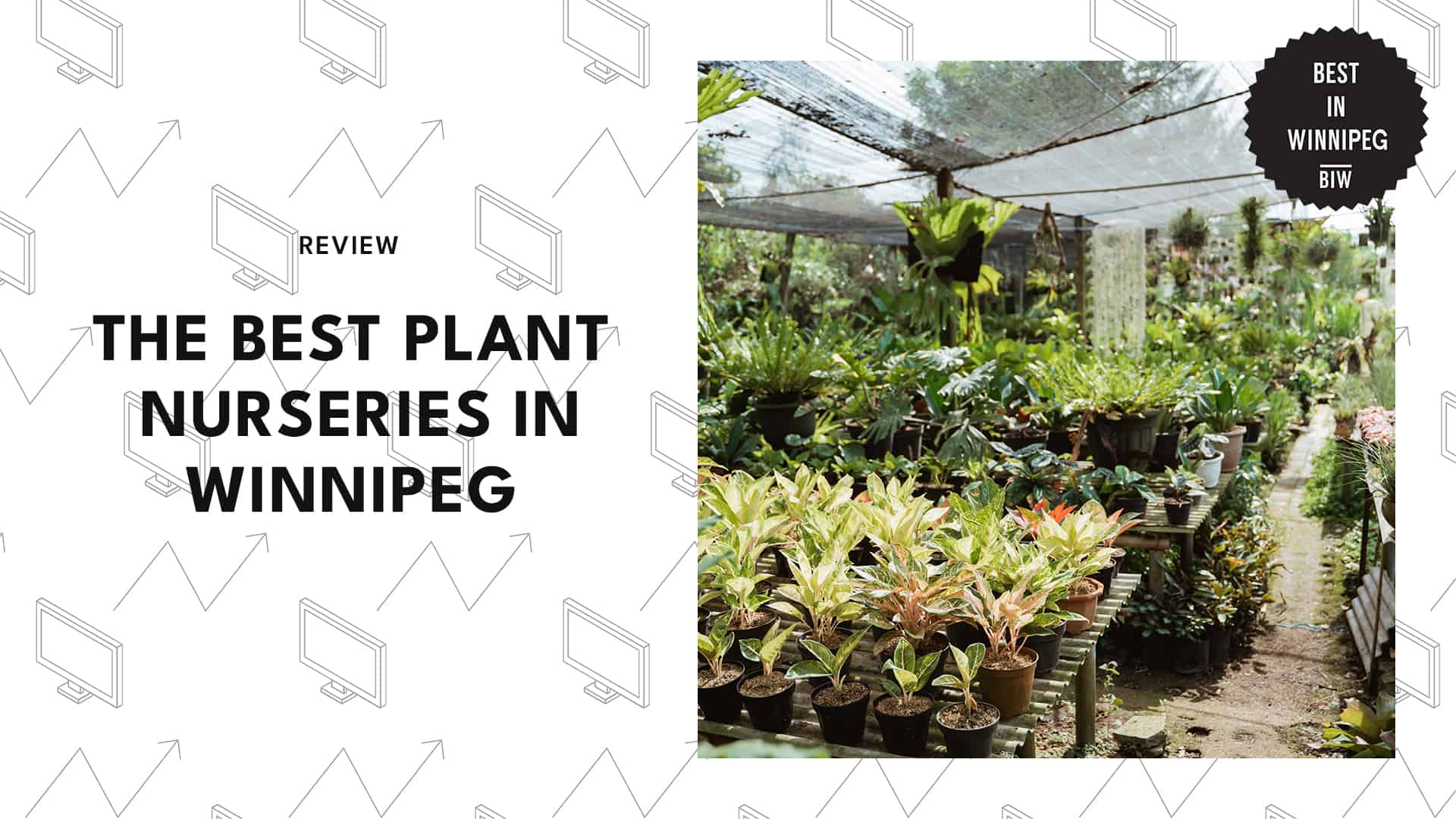 5 of the Best Plant Nurseries in Winnipeg