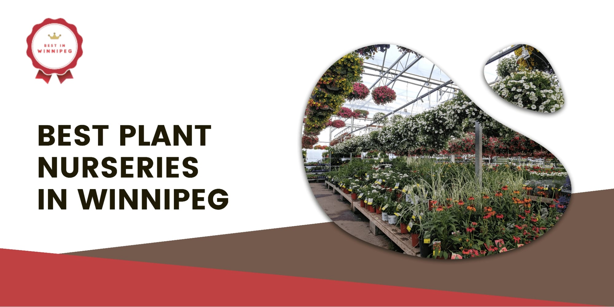 5 of the Best Plant Nurseries in Winnipeg
