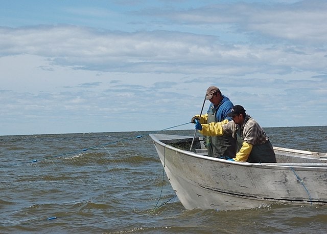 Activities at Lake Winnipeg