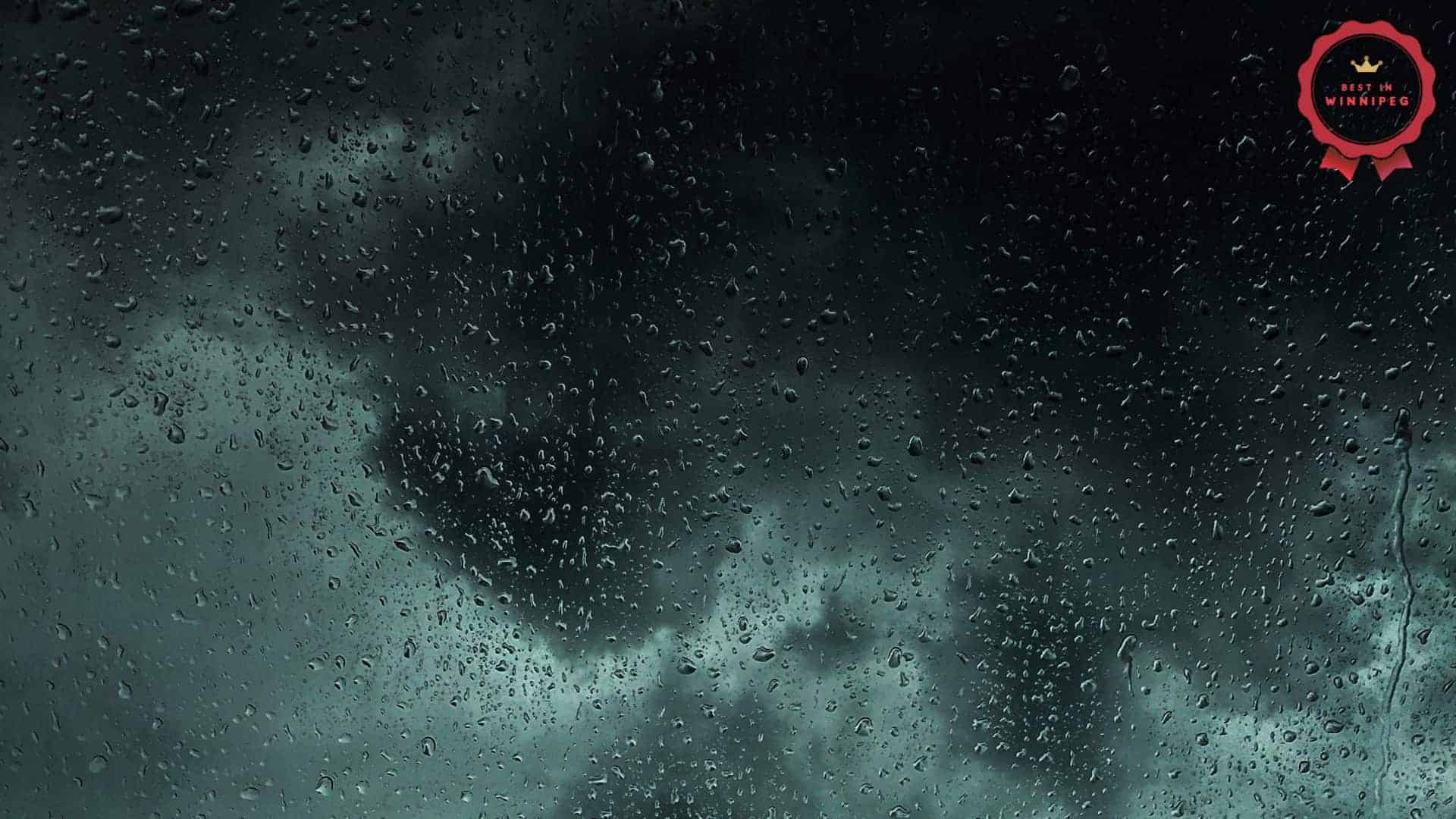 Best Activities for a Rainy Day in Winnipeg For Families