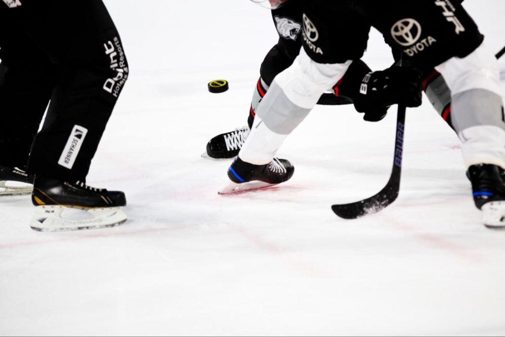 Enjoy a Manitoba Moose ice hockey game