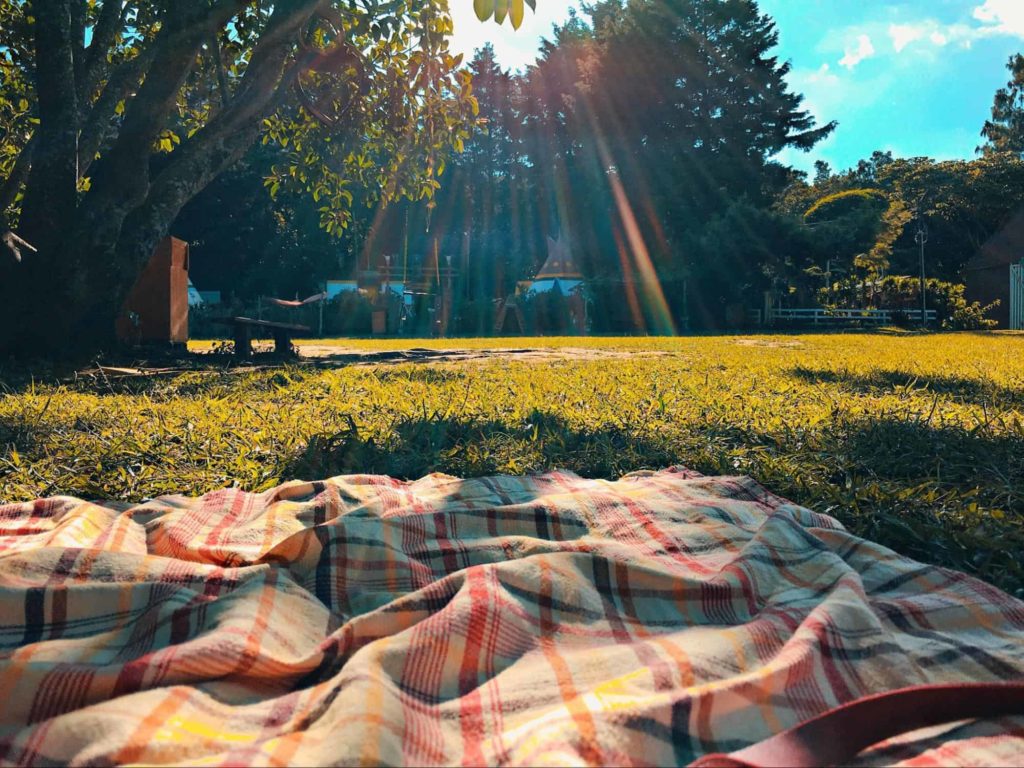 Enjoy a Picnic in Kildonan Park
