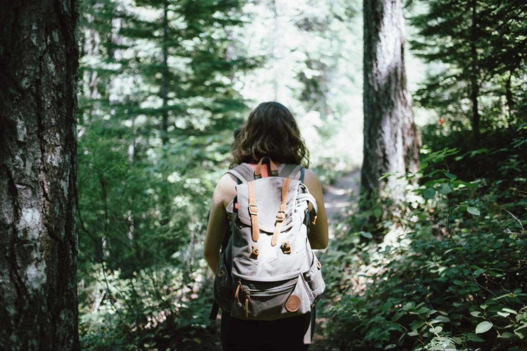 Hike at the Assiniboine Forest