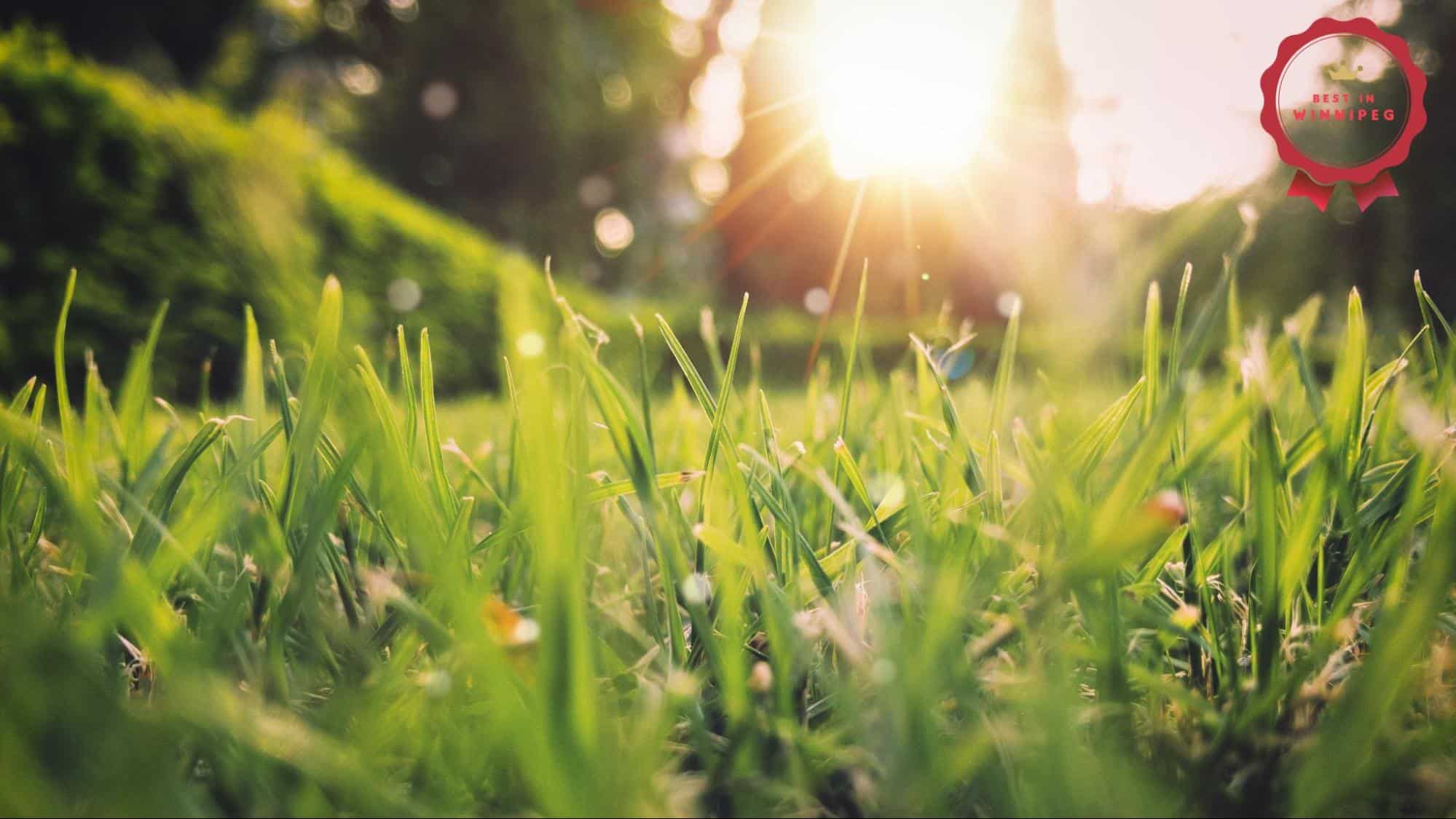 Top 13 Things To Do in Winnipeg This Spring