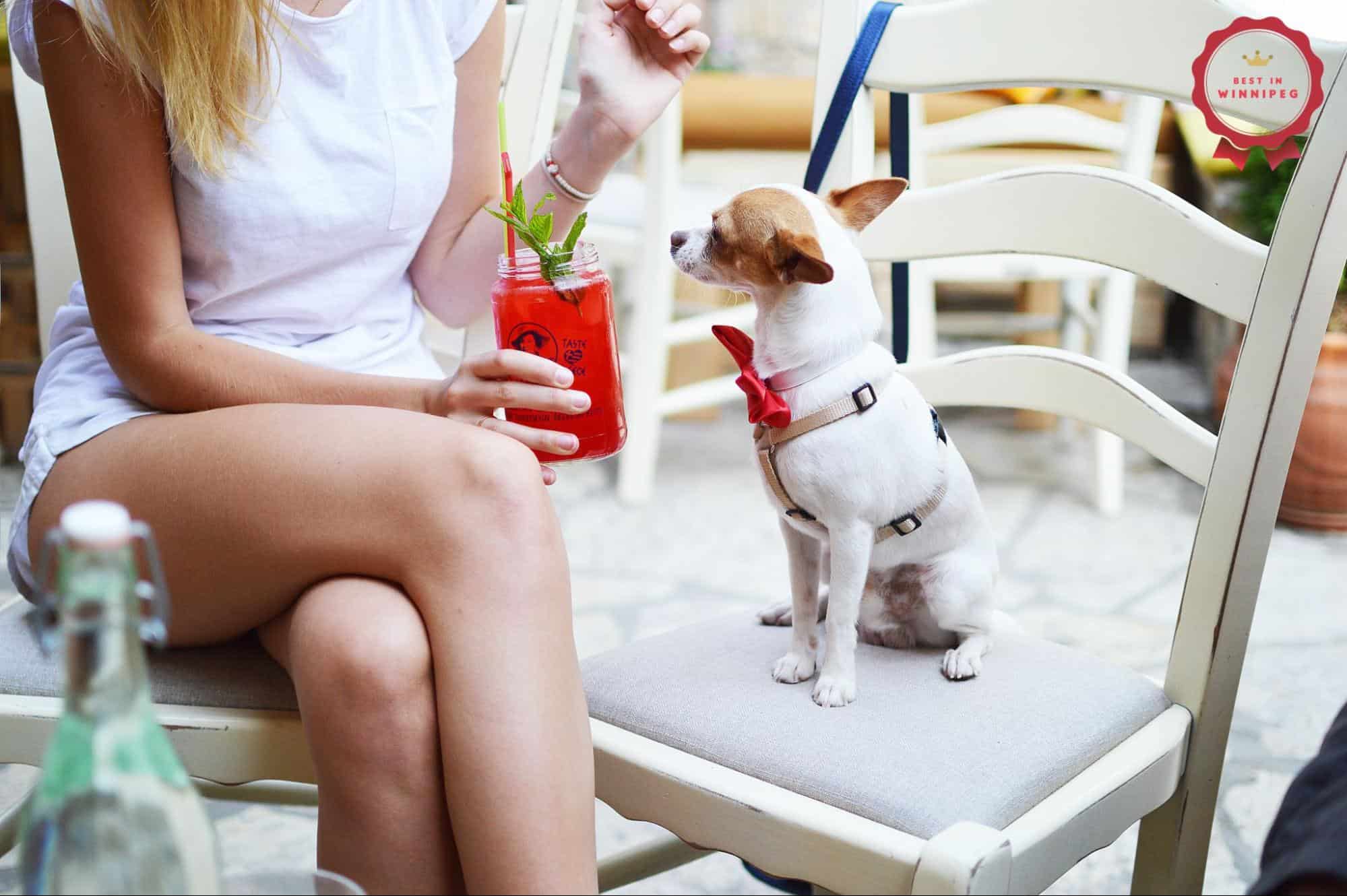 10 Best Dog-Friendly Restaurants in Winnipeg