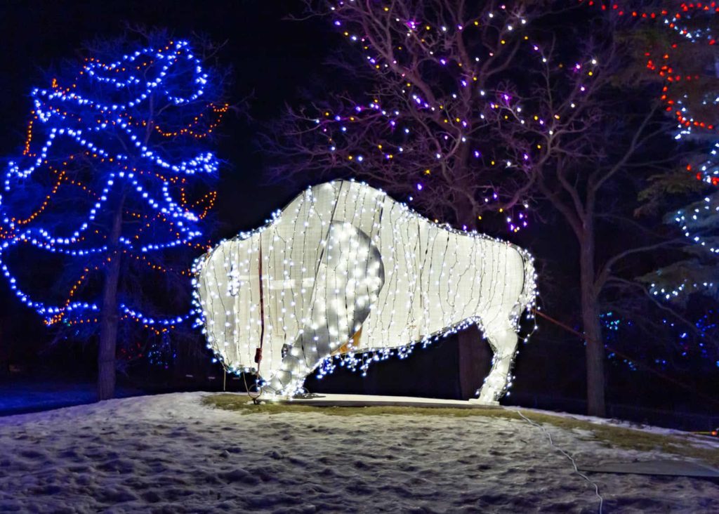 Celebrate at the Assiniboine Park Zoo