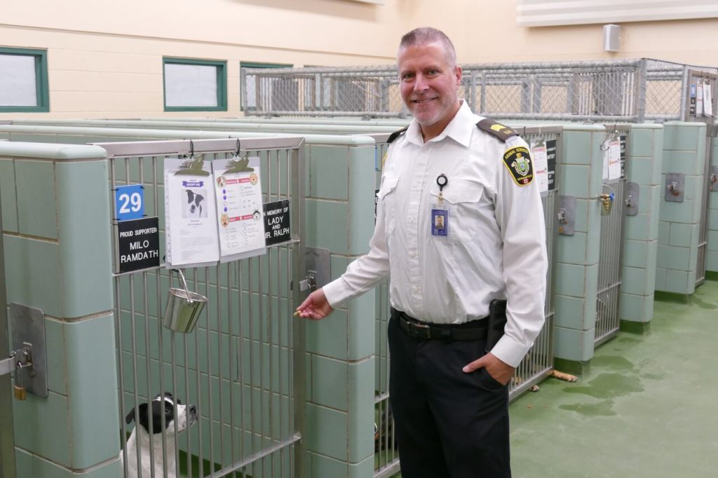 Consequences of Not Licensing Your Pet in Winnipeg
