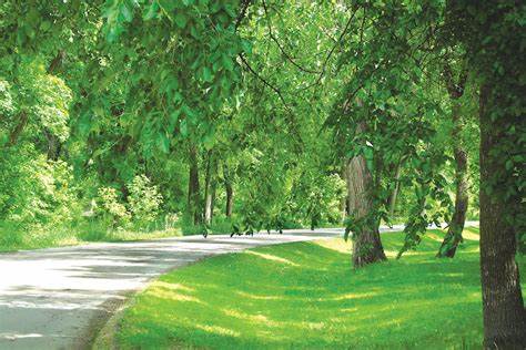 Crescent Drive Park