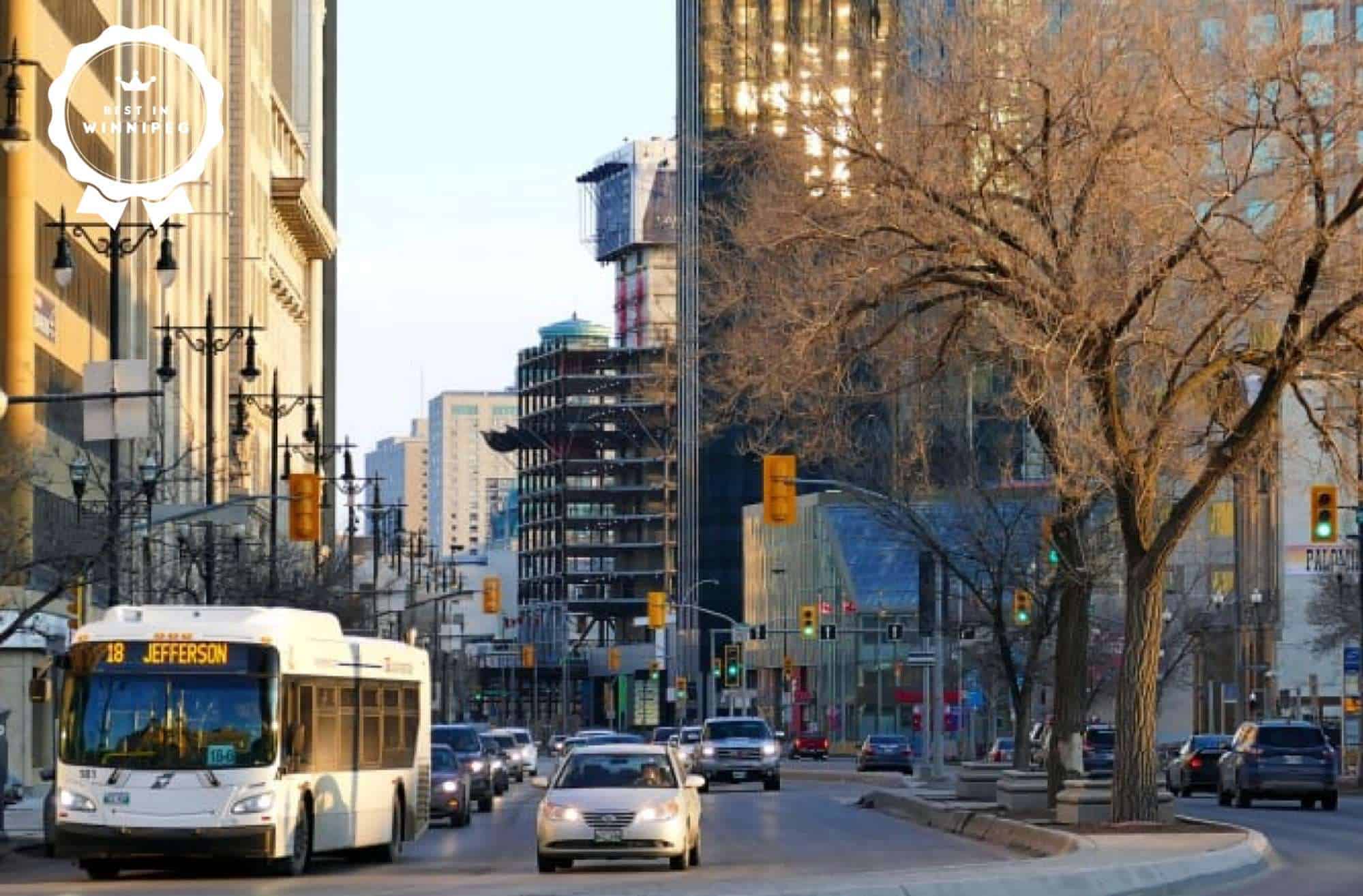 Do you need a car in Winnipeg Here’s the truth