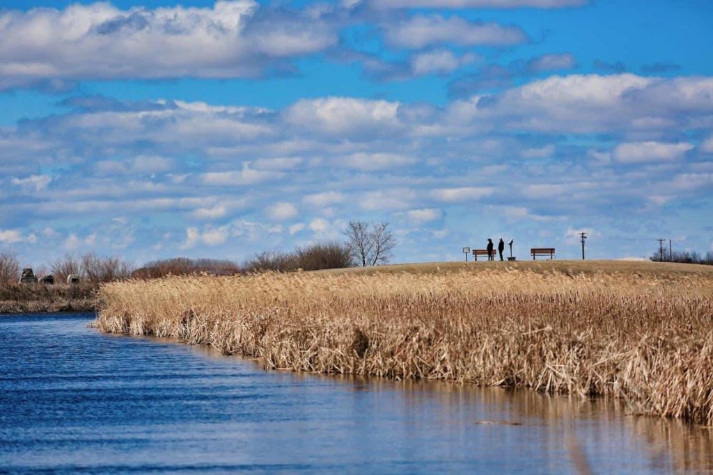 Go stargazing at Oak Hammock Marsh