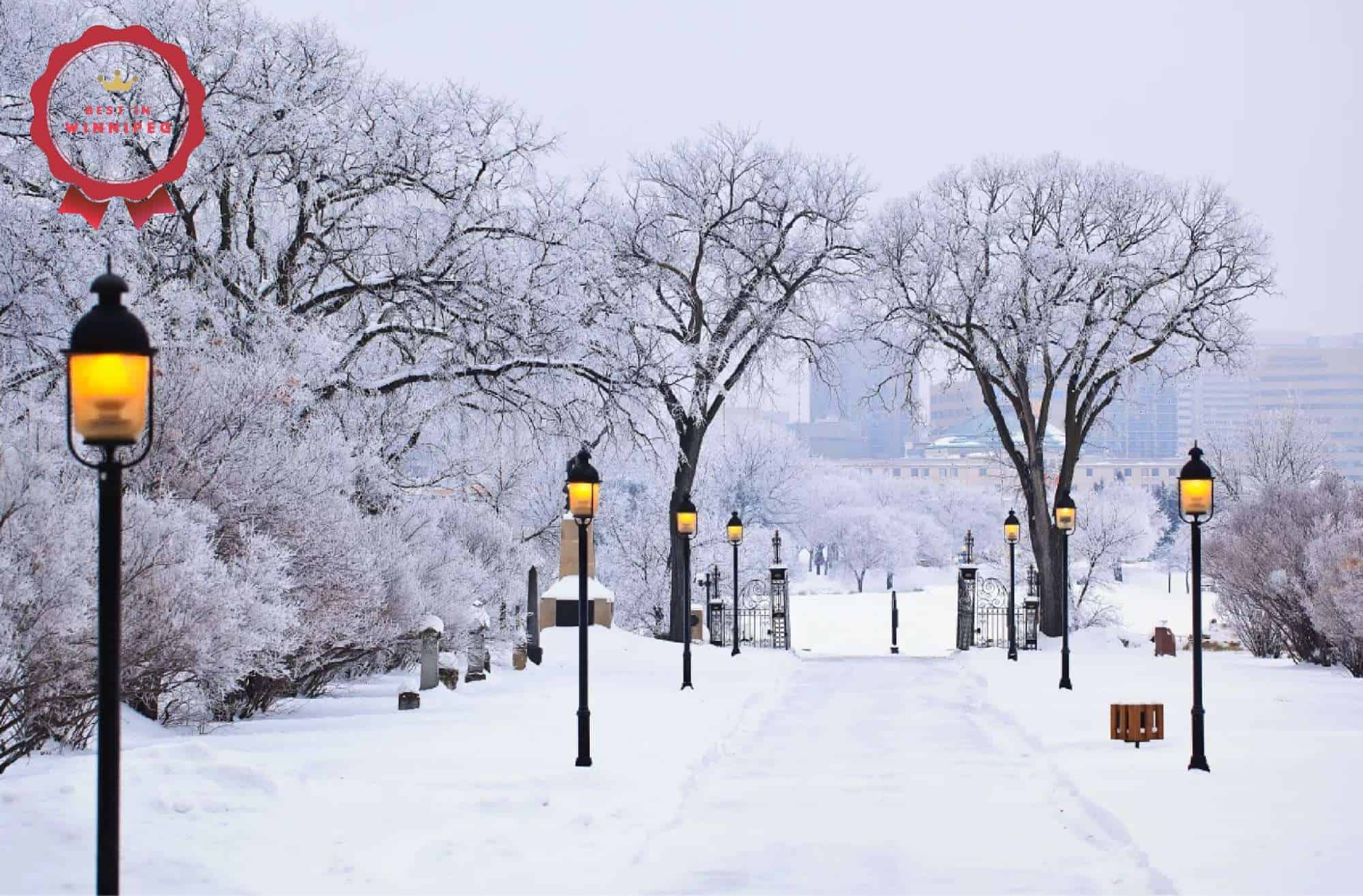 How to Stay Warm and Safe in Winnipeg Winter
