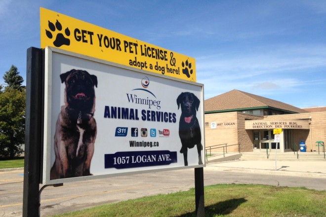 Key Points about Pet Licensing in Winnipeg
