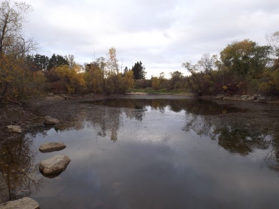 Little Mountain Park