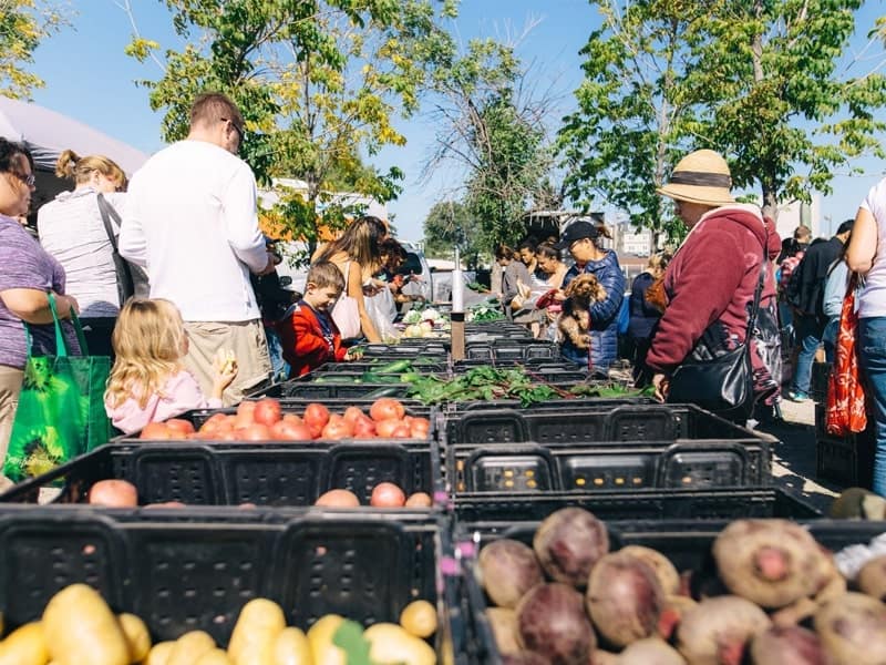 Shop at the St. Norbert Farmers’ Market