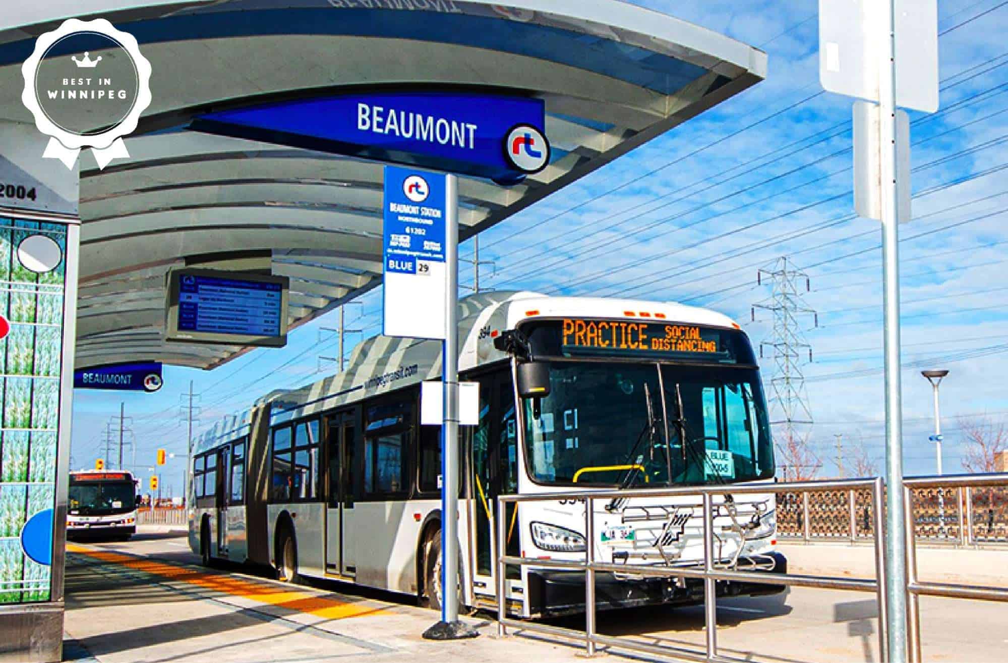 The Ultimate Guide to Riding the Bus in Winnipeg [All Your Questions ANSWERED]