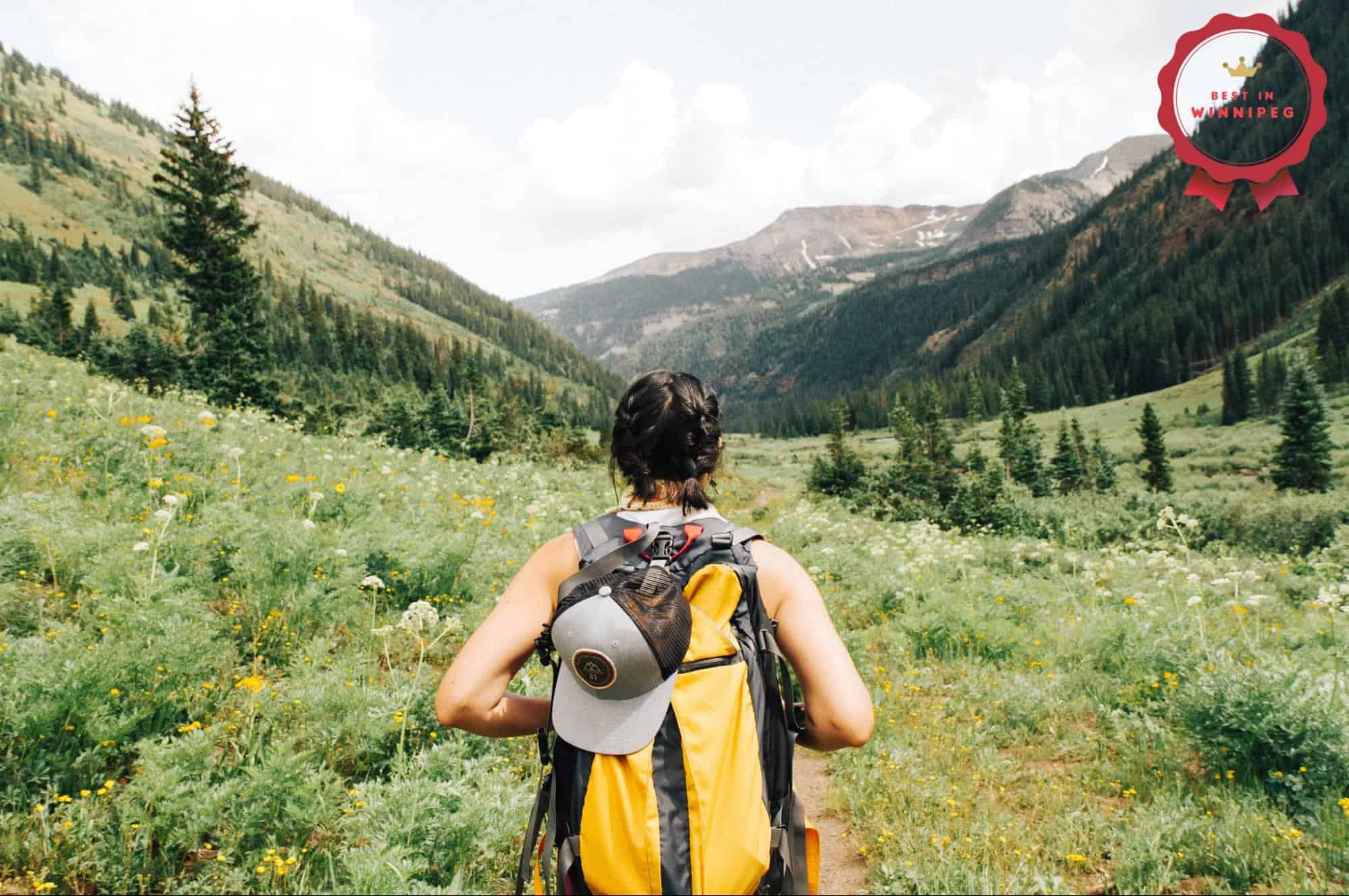Top 13 Things to Do Alone in Winnipeg Solo Travel Guide