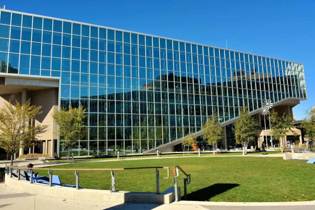 Unleash your inner bookworm at the Millennium Library