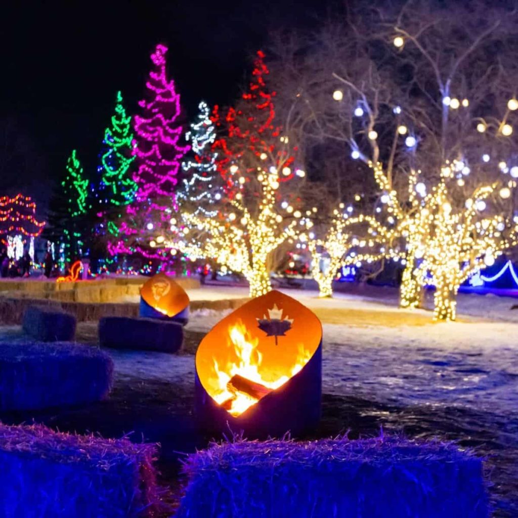 Visit the Festival of Trees and Lights at the Manitoba Museum